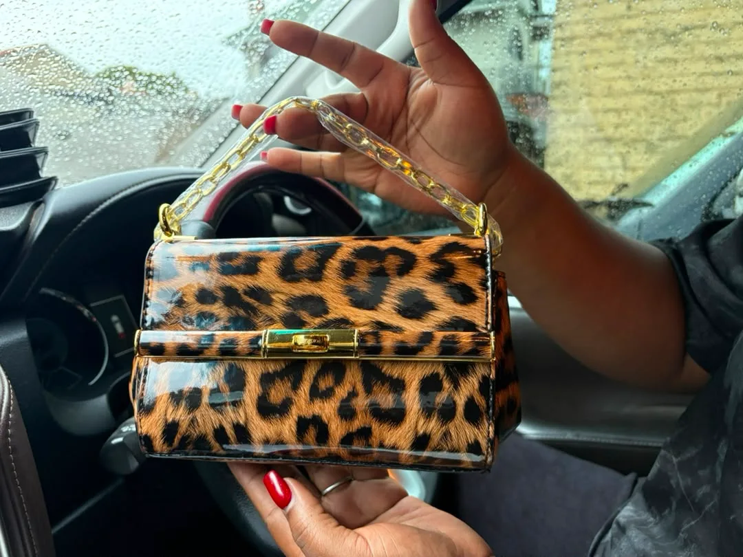 Dolce and Gabbana leopard print purse