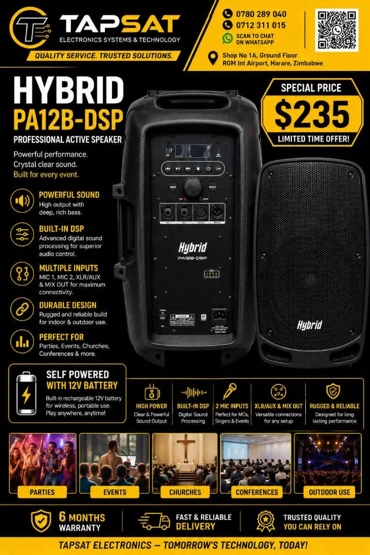 Hybrid PA12B-DSP Professional Active Speaker