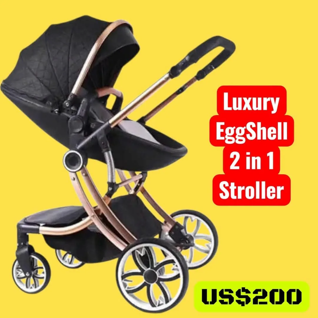 Luxury EggShell 2 in 1 Stroller