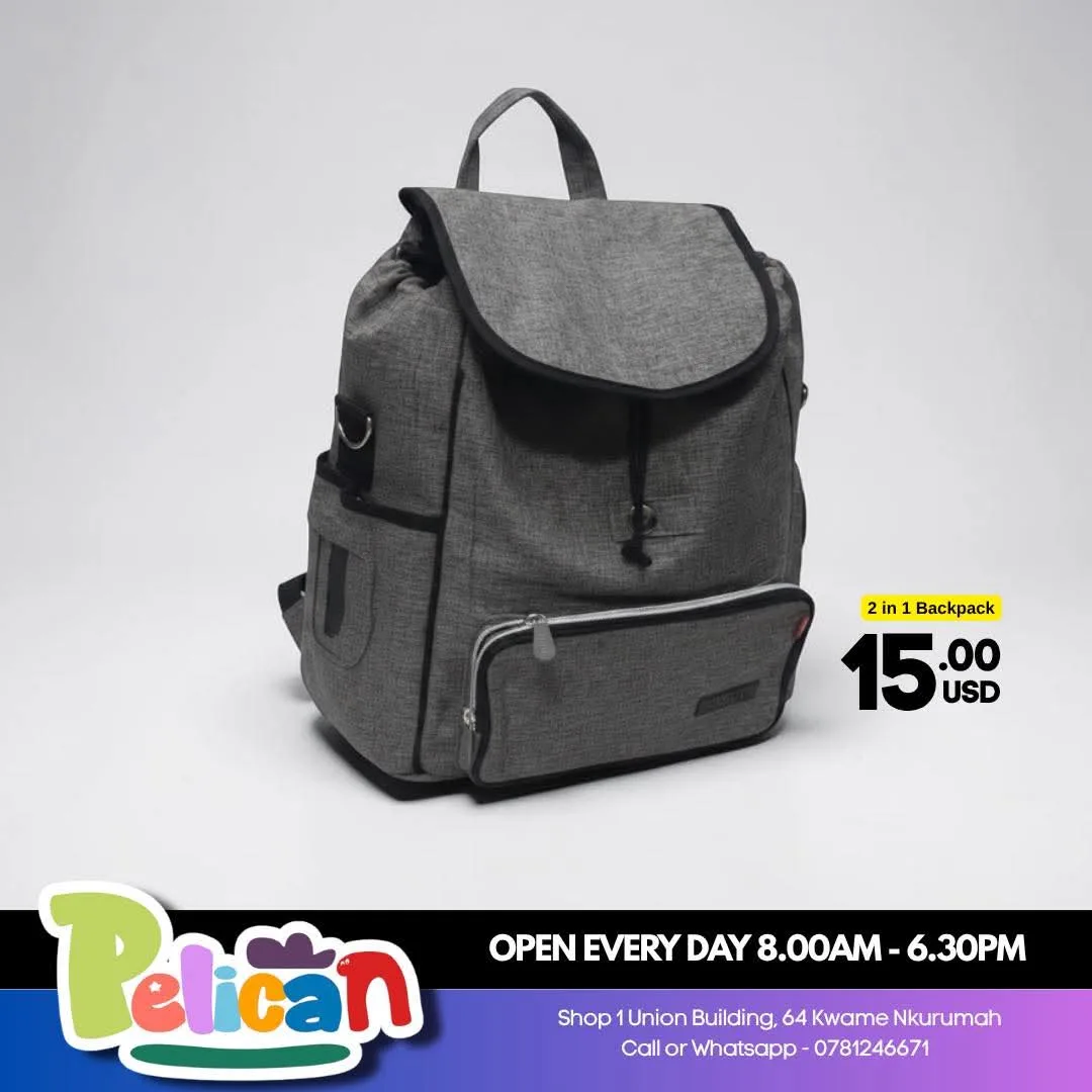 2 in 1 Backpack