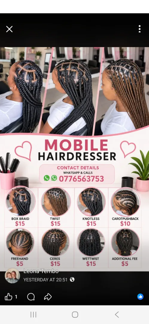 Mobile Hairdresser Braiding Services