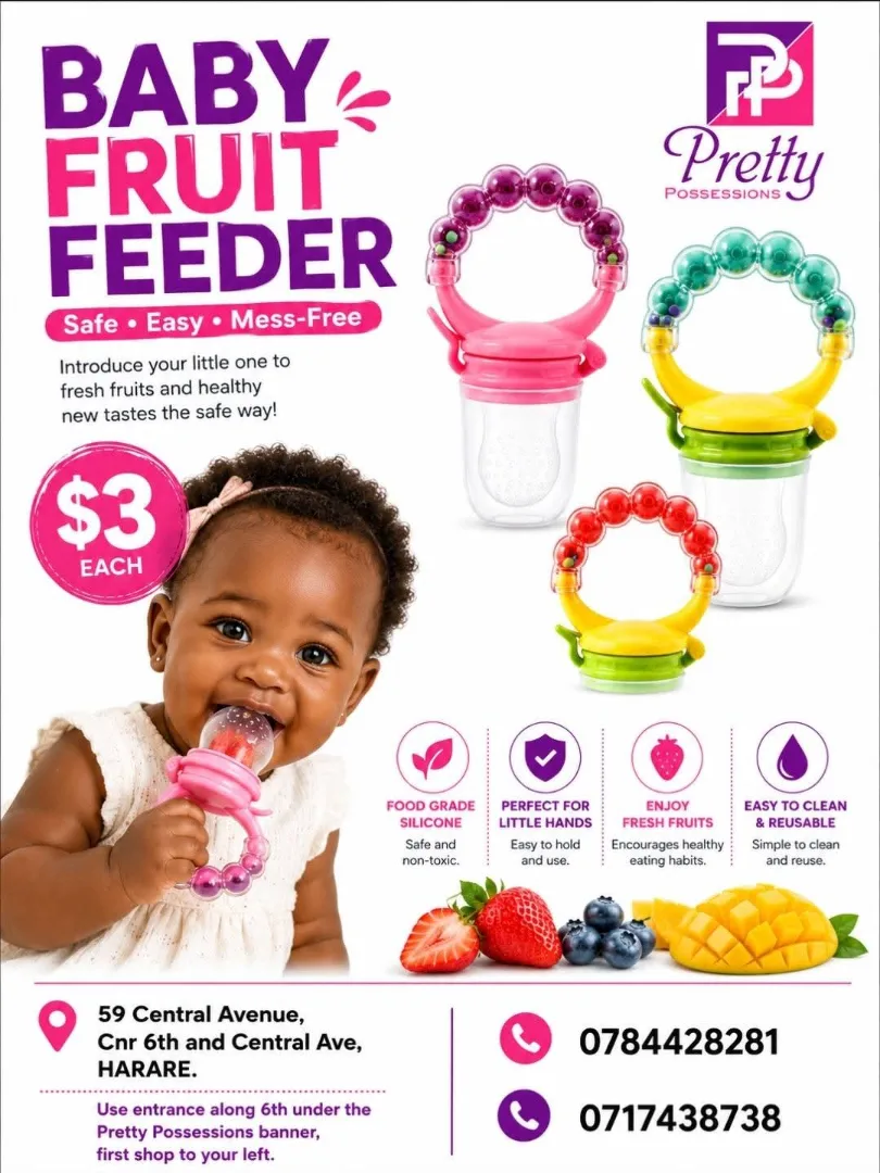 Baby Fruit Feeder